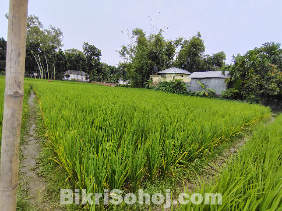 ৬ শতাংশ জমি বিক্রিয় হবে।